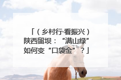 （乡村行·看振兴）陕西留坝：“满山绿”如何变“口袋金”？
